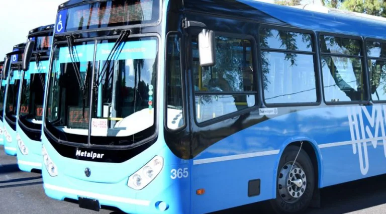 Colectivos nuevos para dos líneas del TUP.