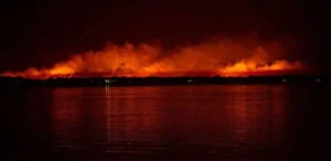 Tres apicultores sentenciados por incendios en las islas.