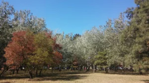 Rosario sede de la Semana del Clima.