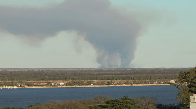 Nuevos incendios en las islas frente a Rosario.