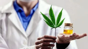 Inscriben a un hombre en el registro de programa de cannabis.