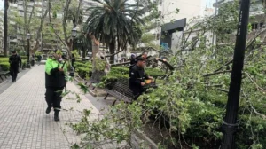Decenas de inconvenientes por las ráfagas de viento en Rosario.