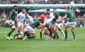Los Pumas cayeron ante Sudáfrica 67-30.