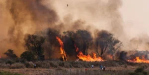 Confirman que los incendios en las islas son competencia de Victoria.