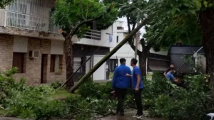 Daños moderados por las tormentas en Rosario.