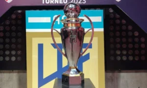Torneo Clausura: días y horarios de la fecha 14.