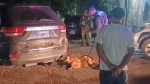 Perra policía encontró más de 100 kilos de droga en un control en Ceres