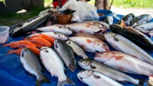 Pescadores de La Florida exigen mejores condiciones laborales