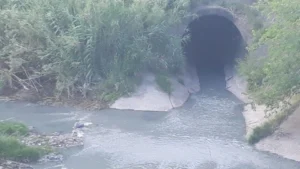 Vecinos del Arroyo Ludueña denuncian contaminación