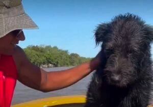 Roffo, el perro que cruza nadando el río Paraná todos los días