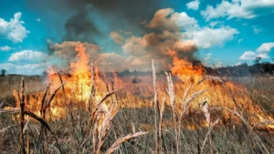 Quema de pastizales en Alvear puso en riesgo un depósito de combustibles