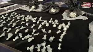 Allanamiento por narcomenudeo en zona sudoeste de Rosario