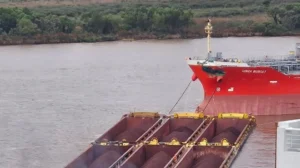 Tras el choque de barcos, ambientalistas alertan por riesgo en el Paraná