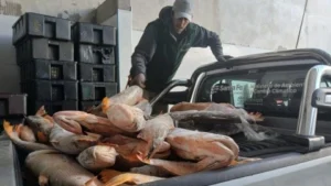Detenidos por caza y pesca ilegal en el norte de Santa Fe