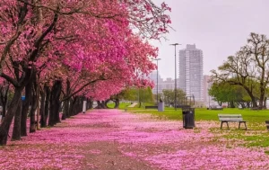 Mirá todo lo que podés hacer este finde en Rosario