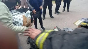 Zona Sur: dos animales de compañía fueron rescatados de un incendio en una vivienda