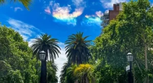 Agenda RLC: mirá todo lo que podés hacer el fin de semana en Rosario