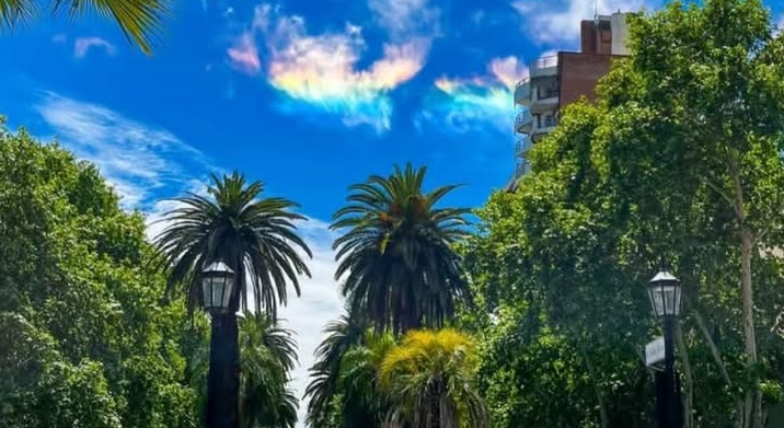 Agenda RLC: mirá todo lo que podés hacer el fin de semana en Rosario