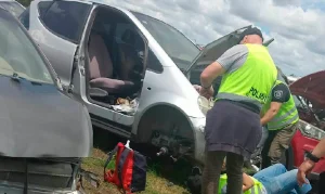 Pujato: clausuran un desarmadero donde hallaron más de 200 autos desguazados