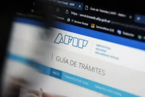 afip anunció que no investigará a monotributistas