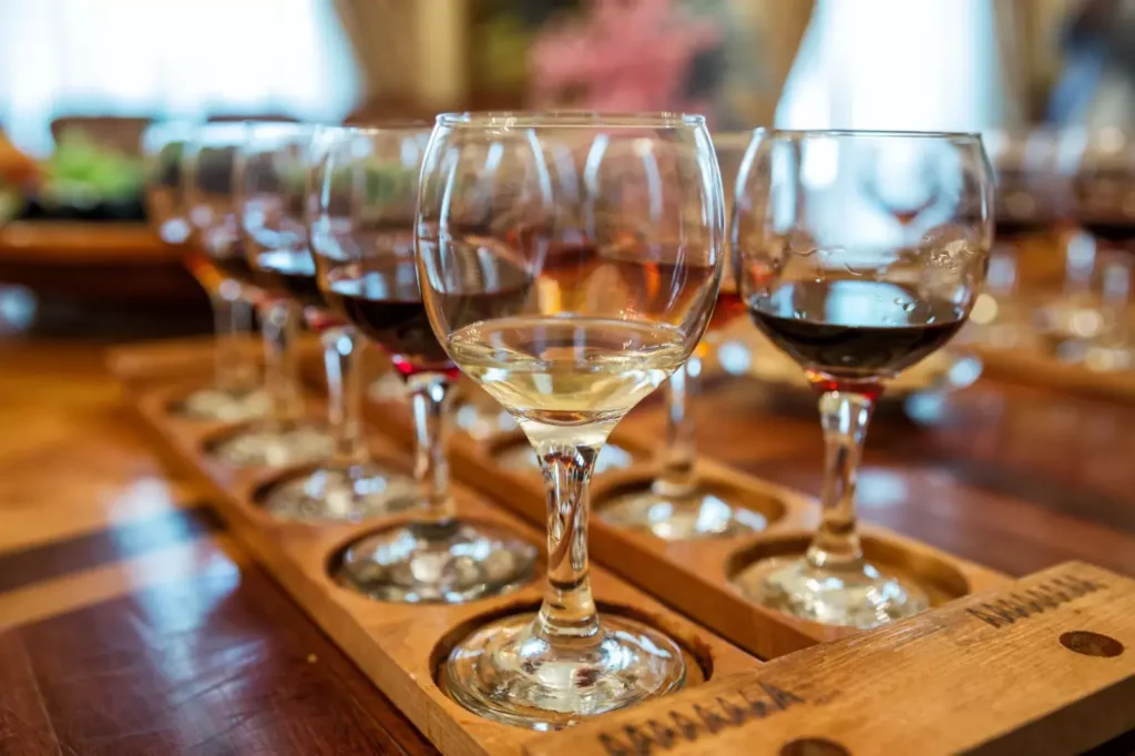 CATA DE VINOS DE PRIMER NIVEL, ALTA GAMA