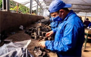 Abrió la inscripción al ciclo 2025 de la Escuela de Jardinería de la Municipalidad