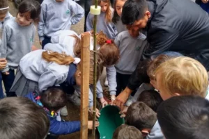 Actividades en la ciudad por la semana del árbol