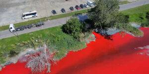 Aguas del arroyo Sarandí se tiñen de rojo y preocupan a vecinos.