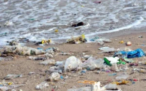 Alarmante: El 78% de la basura en las costas bonaerenses son plásticos