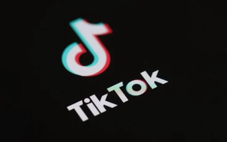 Alerta en TikTok: la policía intervino por un niño de 11 años