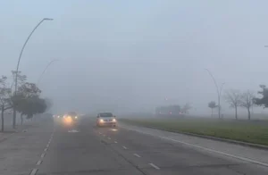 Vialidad alerta por niebla en la región