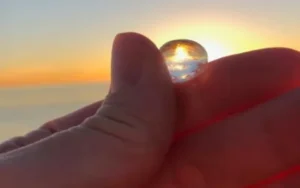 Alerta por tapiocas en la costa atlántica