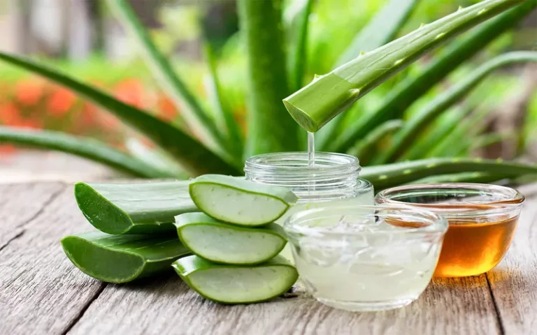 Aloe vera: una maravilla natural con múltiples beneficios