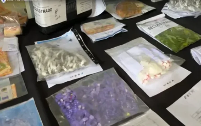 Amplio operativo contra Los Monos en Barrio Las Flores