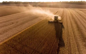 Argentina avanza en la producción de diésel renovable