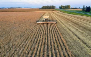 Argentina exporta el 80% de la soja que produce