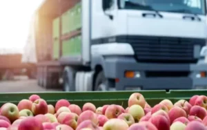 Argentina se consolida como tercer exportador neto de alimentos