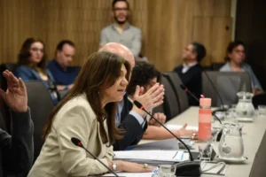 Ley Nacional de Mecenazgo: artistas buscan fortalecer la industria cultural