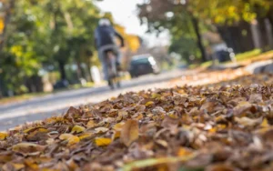 Aseguran que en Rosario, el otoño arrancará la semana que viene y con clima habitual