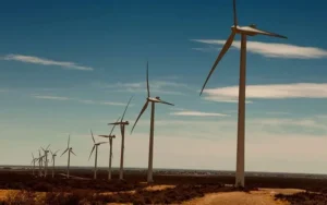 Avanzan las inversiones en energía con una fuerte apuesta a la generación eólica