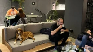 Bares y restaurantes de Rosario serán "pet friendly"