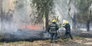 Bomberos trabajan para contener el fuego en la planta de Celulosa