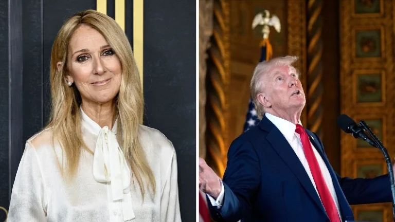 Céline Dion cargó contra el candidato republicano Donald Trump.
