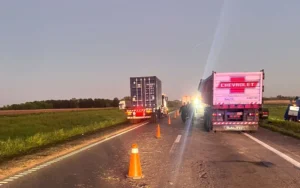 camionero perdió la vida en un siniestro vial