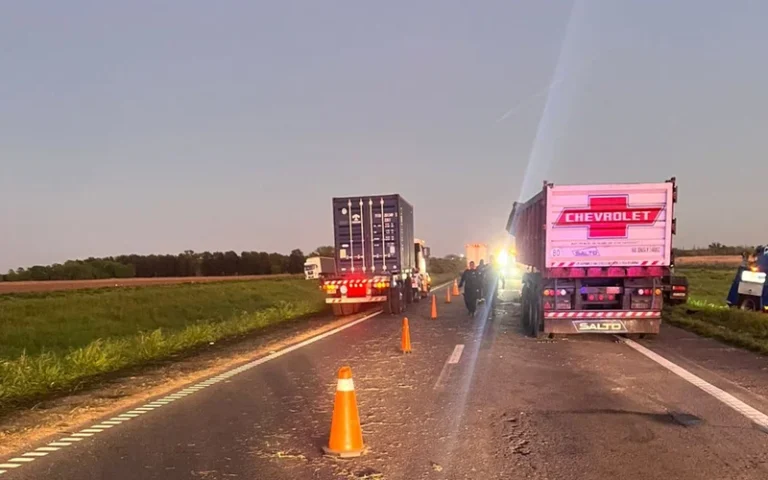 camionero perdió la vida en un siniestro vial