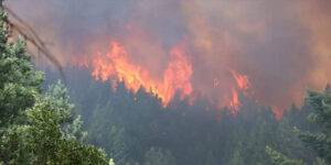 Chubut: incendio afecta 2000 hectáreas y provoca evacuaciones.