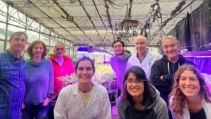 investigadores de conicet desarrollan soja de alto rendimiento