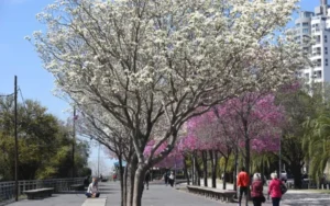 Climatólogo Mario Navarro: "Nos queda un solo evento de frío en primavera"