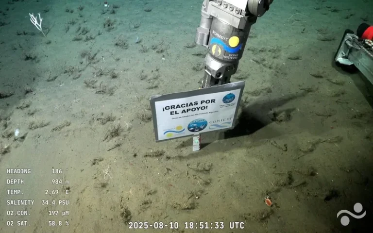 Comenzó la misión del Conicet que explorará los cañones del mar argentino