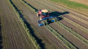 Cómo incide la venta de campos en Santa Fe en la Ley de Tierras